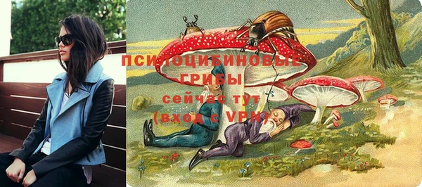 мяу мяу мука Алзамай