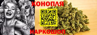 apvp Канаш