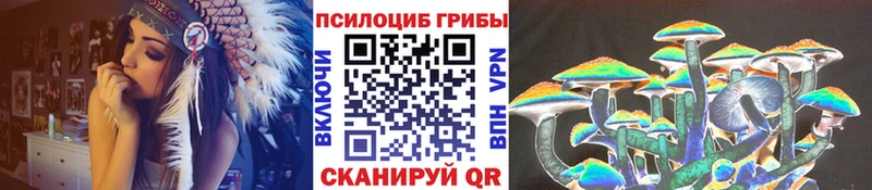 OMG ONION сколько стоит Лабинск Псилоцибиновые грибы мицелий