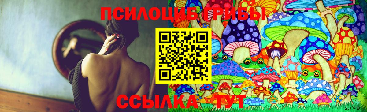 Псилоцибиновые грибы Psilocybine cubensis Лабинск