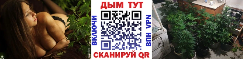 Шишки марихуана White Widow  Лабинск 